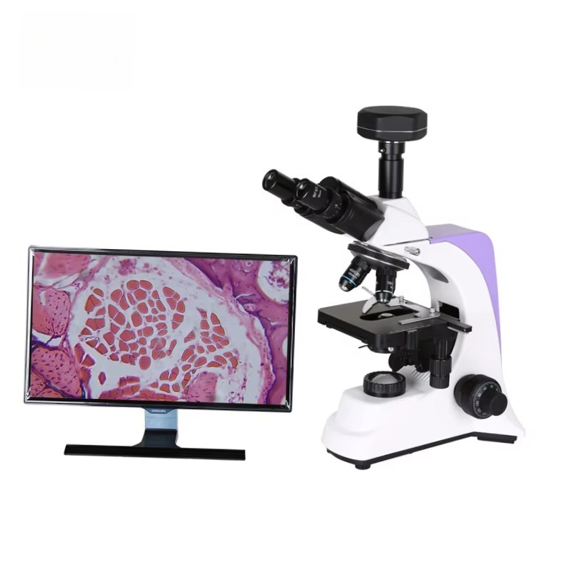 2026 Medical Lab Digital Biolo - Medical Lab Scientist ulasan dan harga