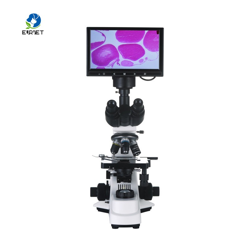 2026 Medical Lab Digital Biolo - Medical Lab Scientist ulasan dan harga