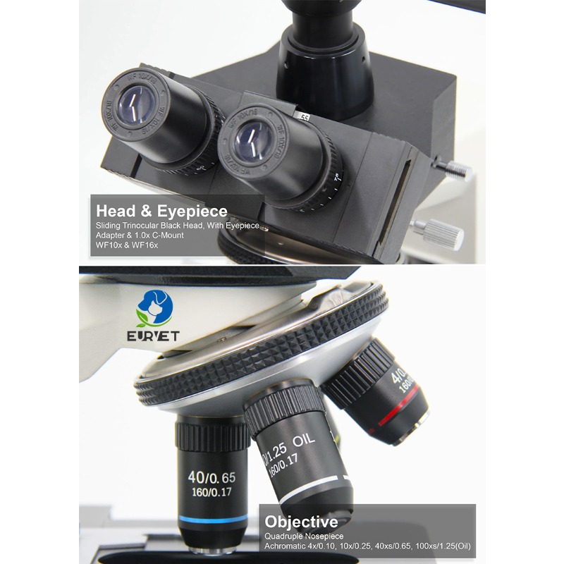 2026 Medical Lab Digital Biolo - Medical Lab Scientist ulasan dan harga