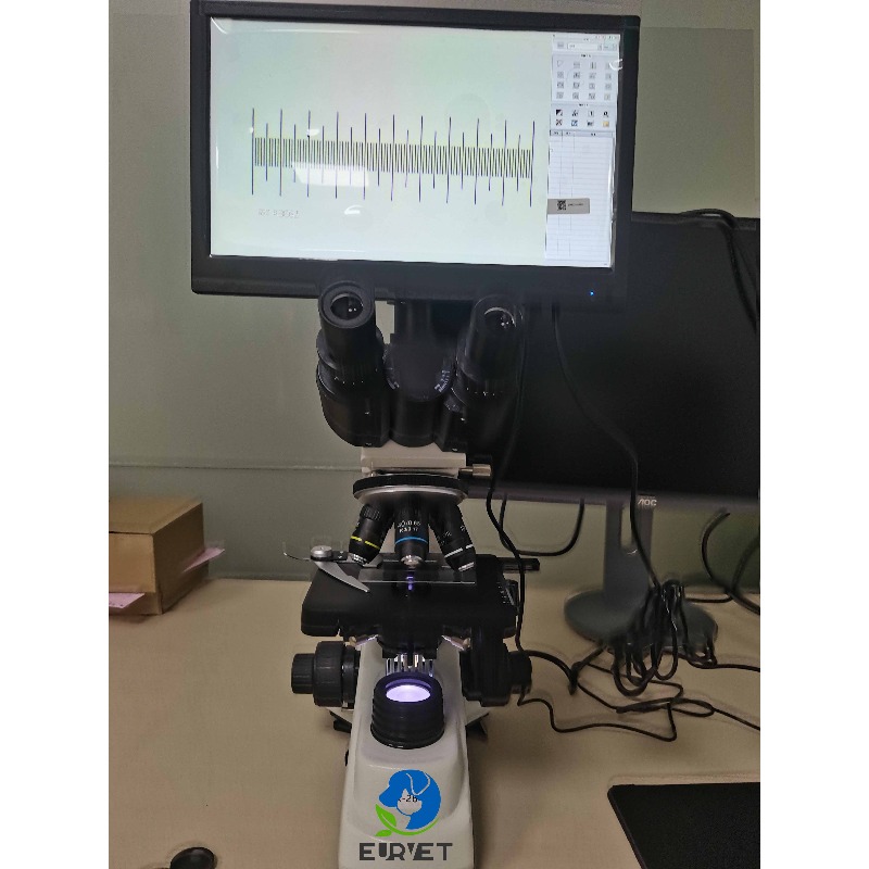 2026 Medical Lab Digital Biolo - Medical Lab Scientist ulasan dan harga